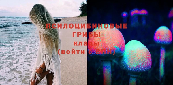 индика Пролетарск